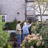 P2010011